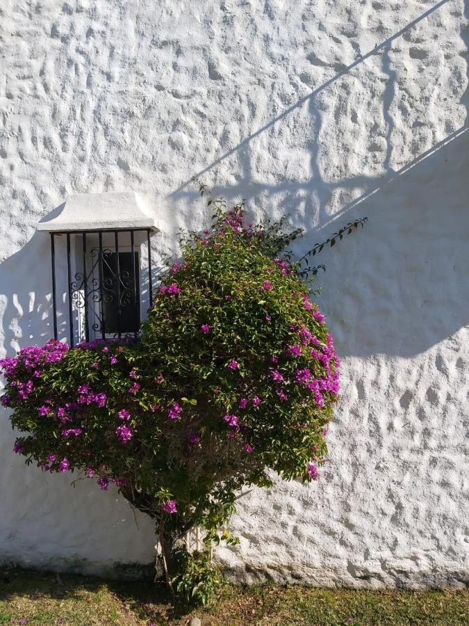 Benamara Gardens, Apartment With Pool, 100M From Beach Near Marbella & Естепона Екстер'єр фото
